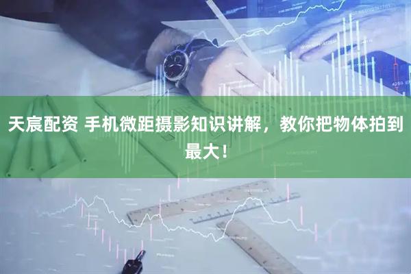 天宸配资 手机微距摄影知识讲解，教你把物体拍到最大！